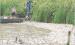 Personnel with the Kansas Department of Wildlife and Parks scoop up dead fish floating near the shoreline in Timber Canyon Cove on Monday afternoon in order to determine the number of fish, species and size that have been killed because of the e. coli bac
