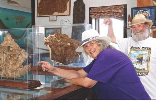 Chuck Bonner and Barbara Shelton pose with two xiphactinus skulls protected in glass which are a popular attraction at the Keystone Gallery. (Record Photo)
