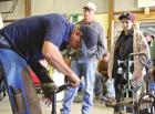 Gender no roadblock for female farrier