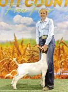 grand champion