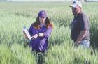 Perfect conditions have added to optimism with area’s wheat crop