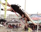 Neeley 3-peats in pole vault