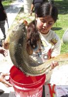 Marley Mai, 10, of Garden City, lifts a carp into a bucket on the scales that weighed 15.8 pounds. (Record Photo) This is one that didn’t get away!