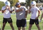 Option will have a bigger part in SC playbook in upcoming season