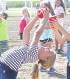 a final look at the Scott County Fair