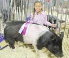 grand champion