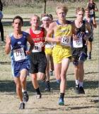 3 Beavers qualify for state x-country