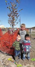 Tree planting project gets underway at county fairgrounds