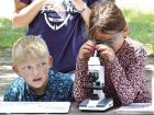 (Above) Griffin Berning, Marienthal, looks on as Maya Vance, Scott City, examines microscopic life under the microscope. (Below) Hope Jessup, Scott City, closely looks for elements that exist in water taken from Lake Scott. (Record Photos)