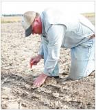 Researchers gaining ground in heart of WSM virus territory