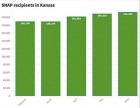 Food insecurity rises in Kansas amid COVID-19