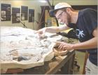 Fossil lab slowly revealing millions of years of history
