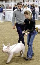 winning Showdown showmanship honors is a team effort