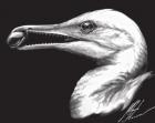 An artist’s concept of the ichthyornis. It is one of only a couple of birds known to have teeth. Bonner’s small bird fossil is yielding big results for researchers