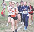 Joy of running returns as Stevens gets PR at 4A state