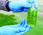A Kansas Biological Survey scientist holds up a water sample from a blue-green algae bloom. Algae blooms are getting more toxi