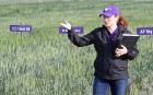 Kelsey Andersen Onofre, a K-State assistant professor and plant pathologist, discusses how resistant different wheat varieties are to diseases during a plot tour in Lane County last Thursday evening. (Record Photo) More challenges still ahead with area’s wheat crop