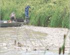 Personnel with the Kansas Department of Wildlife and Parks scoop up dead fish floating near the shoreline in Timber Canyon Cove on Monday afternoon in order to determine the number of fish, species and size that have been killed because of the e. coli bac