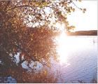 Lake Scott State Park is taking on a beautiful, golden hue with the change of the seasons. (Record Photo) Lake Scott State Park is taking on a beautiful, golden hue with the change of the seasons. (Record Photo)