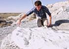 Prehistoric ‘Lock Ness’ is the the latest Super fossil discovery