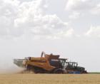 Rain across area puts brakes on another phenomenal harvest