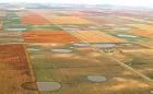 Playas could aid cities by extending Ogallala life