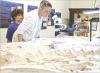 Sandi Unruh, Marienthal, takes a closer look through a microscope at an elasmosaurus fossil that’s in the preparation stage in the Western Kansas Fossil Lab in the El Quartelejo Museum. (Record Photo)