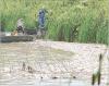 Personnel with the Kansas Department of Wildlife and Parks scoop up dead fish floating near the shoreline in Timber Canyon Cove on Monday afternoon in order to determine the number of fish, species and size that have been killed because of the e. coli bac